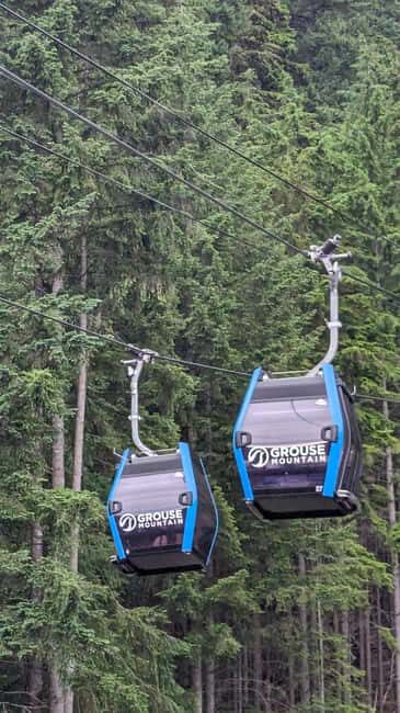 Grouse Mnt+StanleyPark+Hatchery+Cleveland Dam+LynnCanyonTOUR - What the Reviews Say