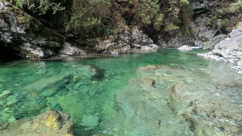 Grouse Mnt+StanleyPark+Hatchery+Cleveland Dam+LynnCanyonTOUR - The Sum Up