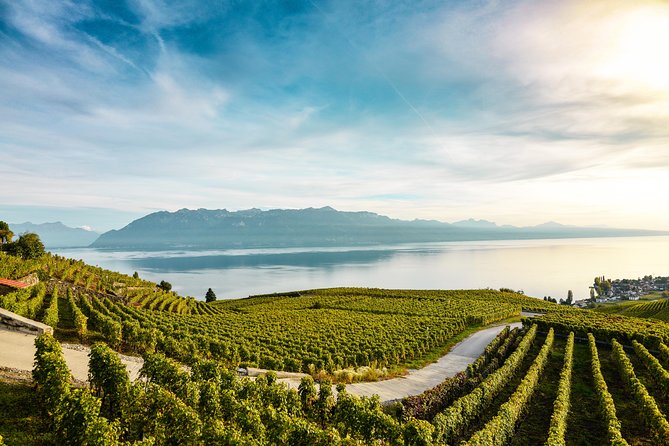 Gruyères Private Tour From Geneva With Panoramic Golden Train - Pricing and Booking