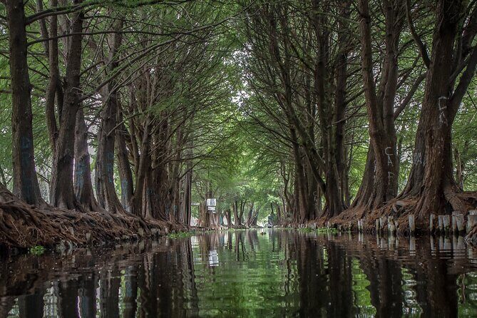 Guacamole a Tasty Adventure Through Xochimilco Markets and Canals - Final Thoughts