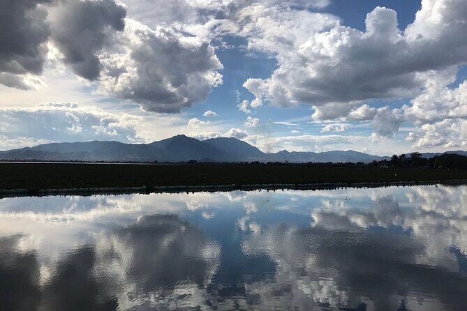 Guachimontones, a unique site - Final Thoughts: Is This Tour Worth It?