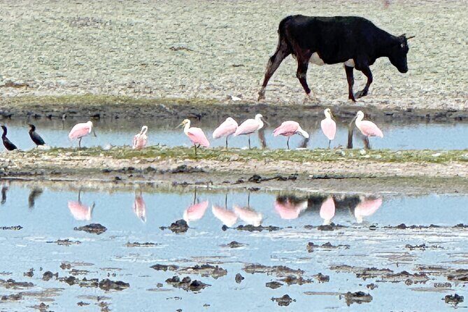 Guachimontones and Teuchitlan explores as a local - Who should consider this tour?