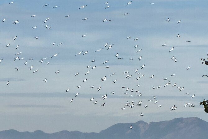 Guachimontones and Teuchitlan explores as a local - FAQ