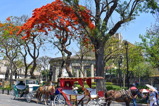 Guadalajara and Tlaquepaque: Private Full-Day Tour - Tlaquepaque: Art, Crafts, and Authentic Charm