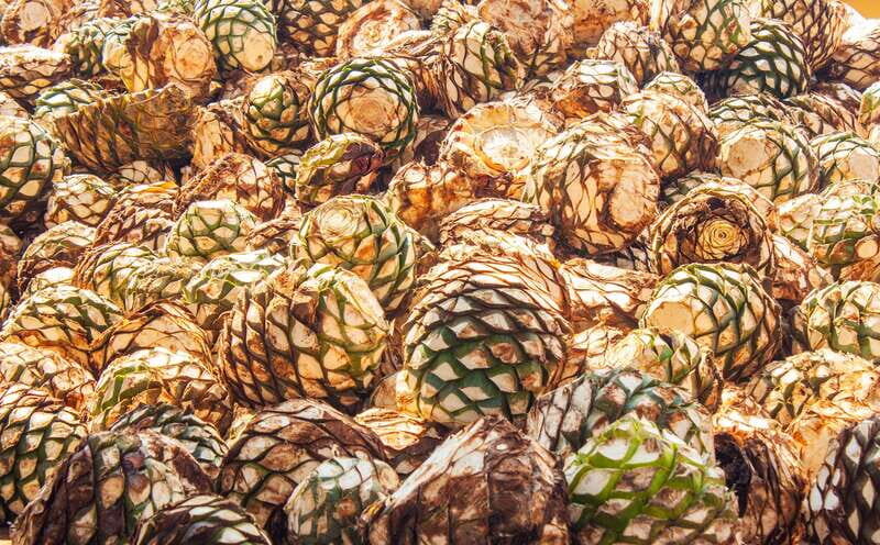 Guadalajara: Lake Chapala and Ajijic Day Trip with Boat Trip - Final Thoughts: The Real Value in a Day