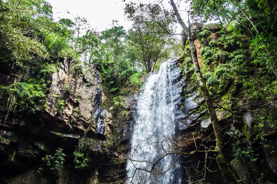 Guadalajara: Mazamitla Tour and Mundo Aventura With Safari - Key Points
