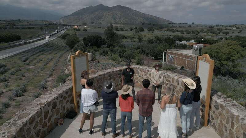 Guadalajara: Premium Tequila Tour with Tastings and Pairings - Tequila Selecto Distillery: Tradition Meets Innovation