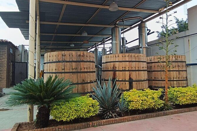 Guadalajara Tequila Tastings Tour - FAQ: Your Practical Questions Answered
