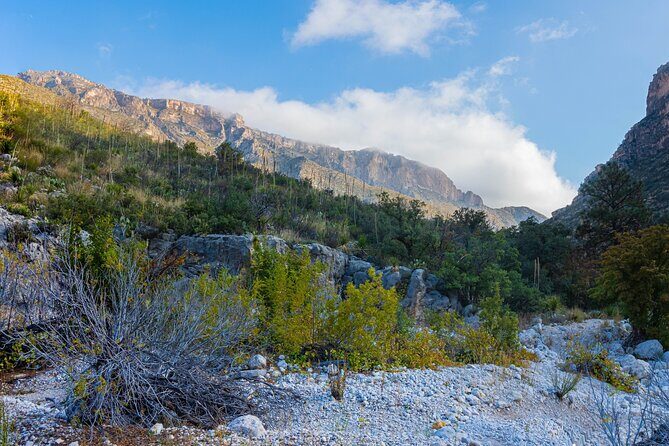 Guadalupe Mountains National Park Self Guided Audio Tour - FAQs