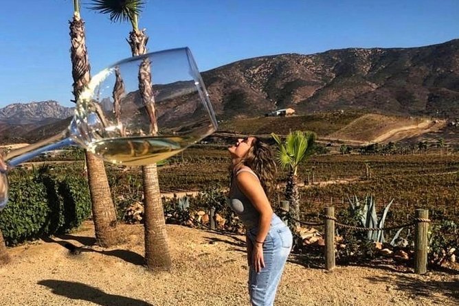 Guadalupe Valley & Fridas House Tour - Tour Details