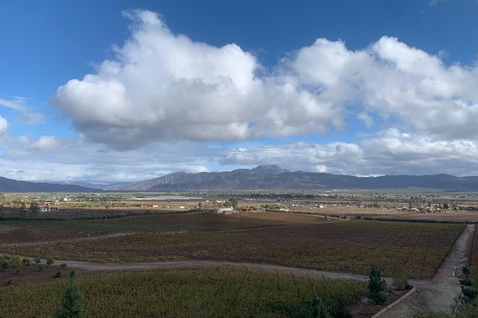 Guadalupe Valley & Fridas House Tour - Frequently Asked Questions