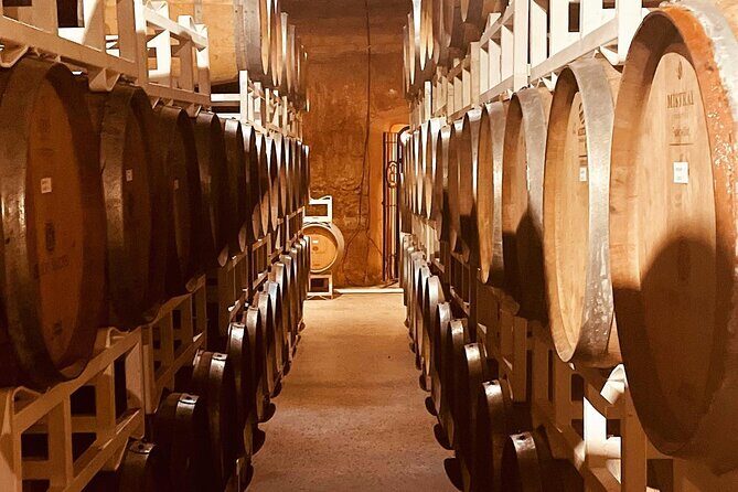 Guadalupe Valley Private Tour The Wine Route - An Introduction to Guadalupe Valley’s Private Wine Tour