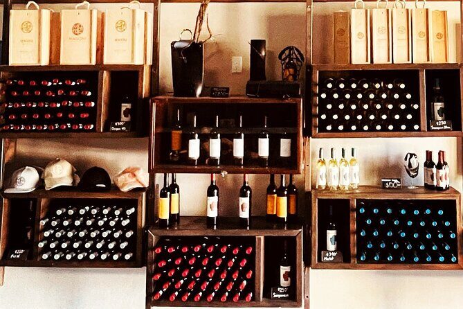 Guadalupe Valley Private Tour The Wine Route - Transportation & Group Size