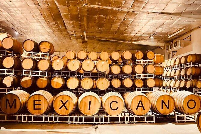 Guadalupe Valley Private Tour The Wine Route - What Travelers Say