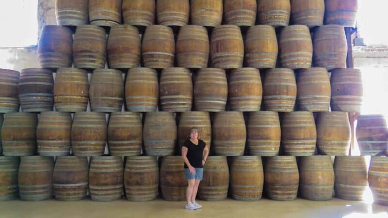 Guadalupe Valley: The Art of Wine, Exclusive Route, and Gourmet Food - An In-Depth Look at the Guadalupe Valley Tour