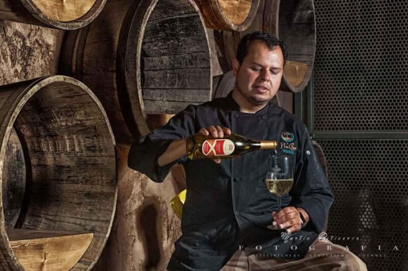 Guadalupe Valley: The Art of Wine, Exclusive Route, and Gourmet Food - Who Will Appreciate This Tour?