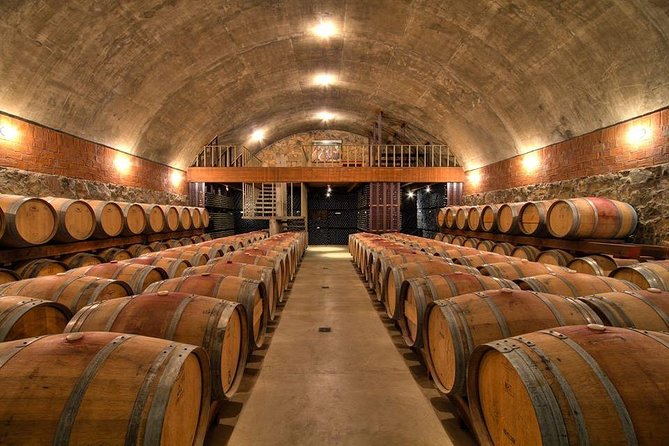 Guadalupe Wine Valley Tour - Traveler Experiences and Reviews