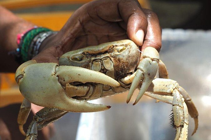 Guadeloupe: Its Craftspeople, Delicacies and Farmers' Market - Final Thoughts