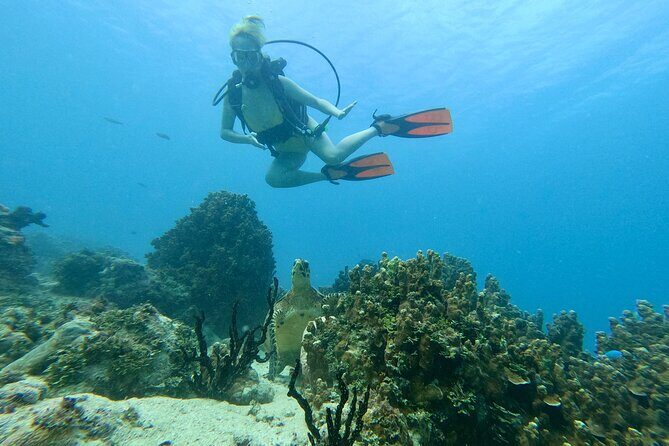 Guam's Best Beach Diving! Beginner and Advanced Dives - Why This Tour Works for Most Travelers