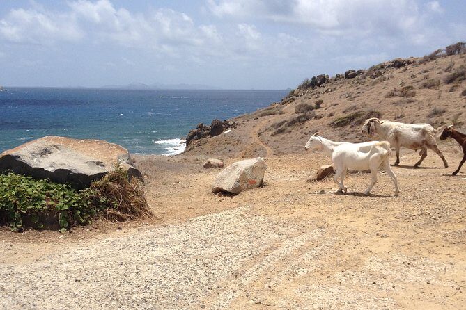 Guana Bay Coastal Hike - A Detailed Look at the Guana Bay Coastal Hike