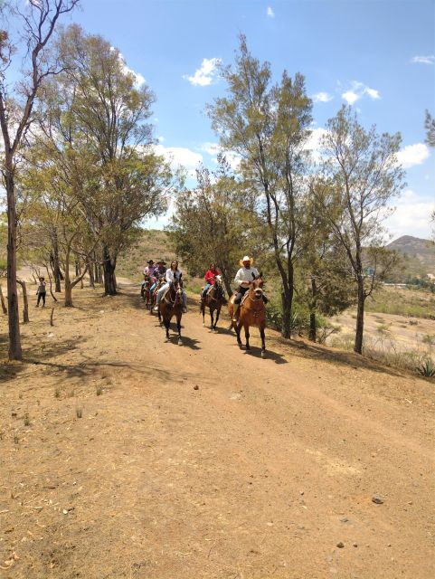 Guanajuato: Horse Ride Tour - Group Experience