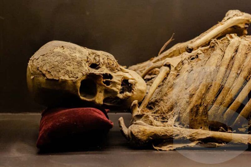 Guanajuato: Mummies, Mines and Tunnels Guided Group Tour - An In-Depth Look at the Tour Experience