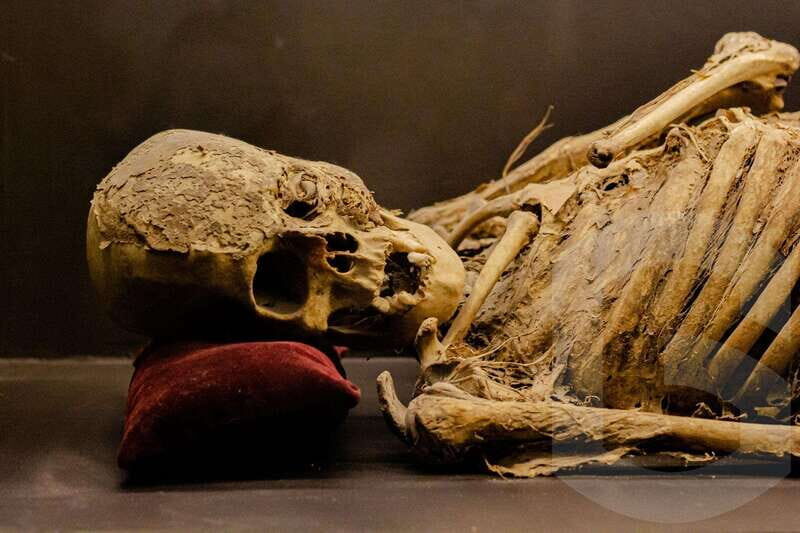 Guanajuato: Mummies, Mines and Tunnels Guided Group Tour - FAQs