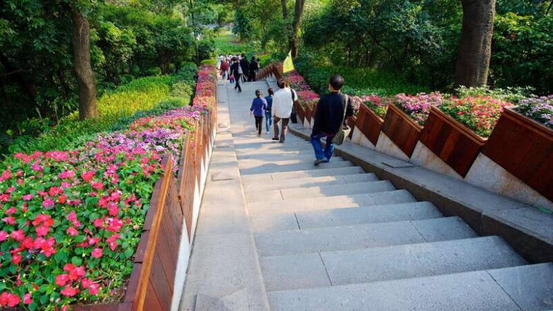 Guangzhou: Historic Blocks, Local Food Market & Night View - An In-Depth Look at the Guangzhou Experience