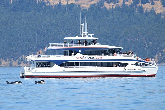 Guaranteed Whale Watch Tour from Anacortes - The Experience at a Glance