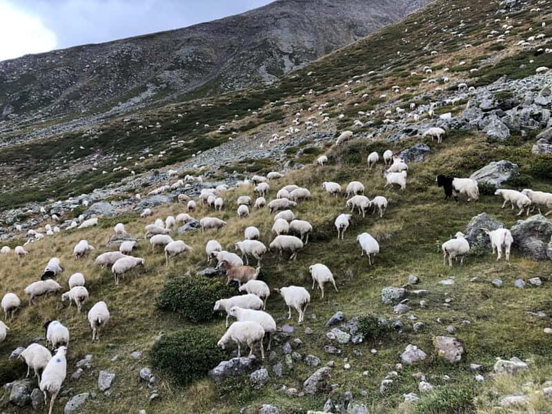 Gudauri and Kazbegi: Private Day Trip from Tbilisi - Introduction: An Unmatched Day Trip into Georgia’s Mountain Heartland