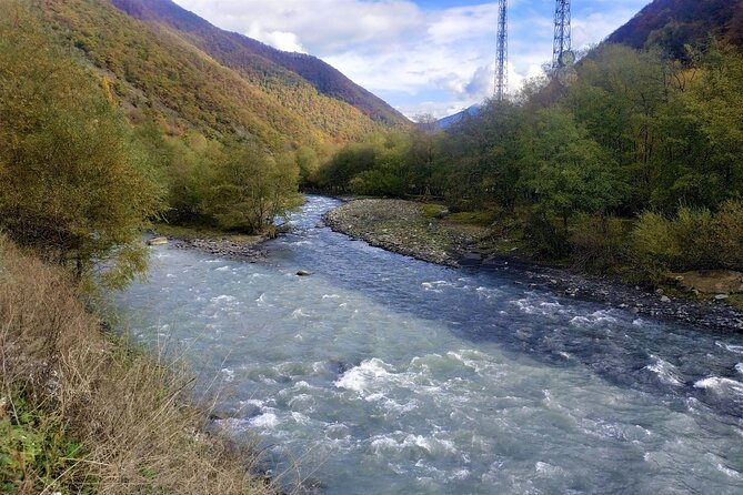 Gudauri Tour With Sabaduri Forest, Ananuri, Panorama Gudauri - Traveler Reviews and Ratings