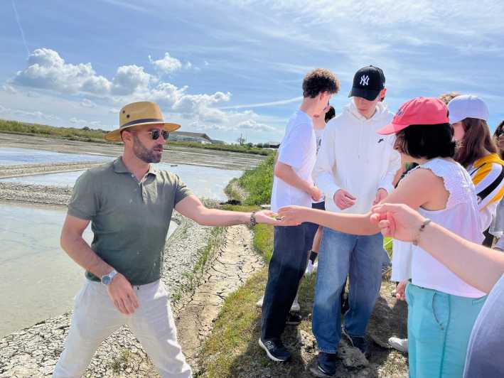 Guérande Salt Marshes Tour - Itinerary and Meeting Point