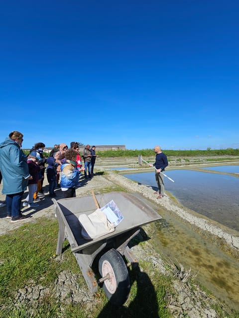 Guérande Salt Marshes Tour - Traditional Salt Harvesting Techniques
