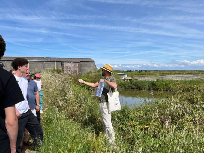 Guérande Salt Marshes Tour - Customer Feedback and Ratings
