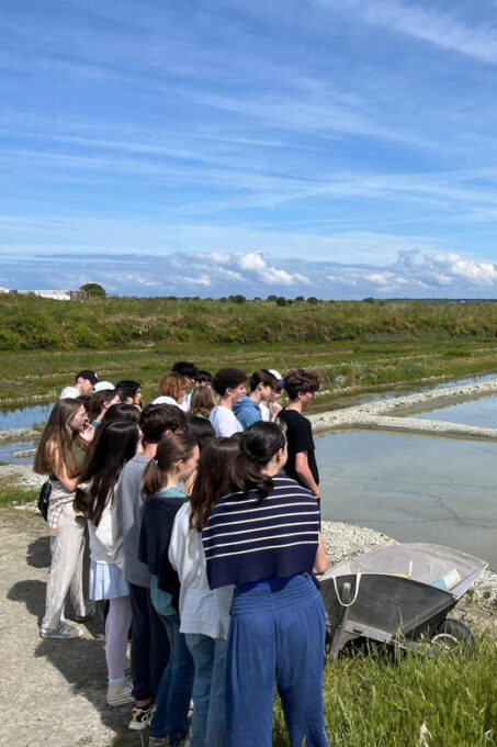 Guérande Salt Marshes Tour - Ask Away