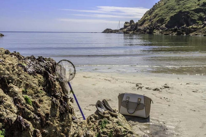 Guernsey: Half-Day Island Shore Excursion Tour - Key Points