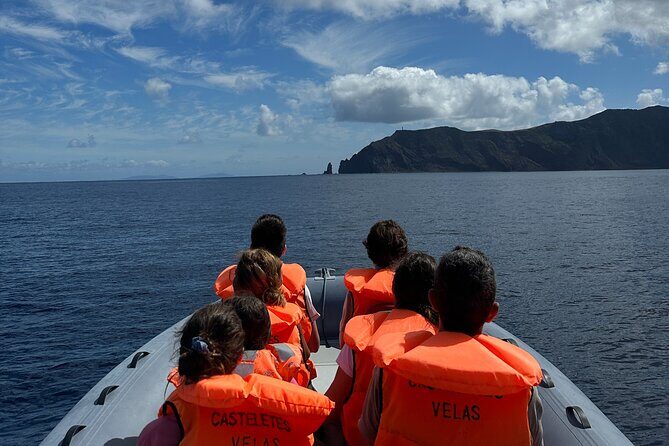 Guided activity in the Heart of Azores with whales and dolphins - A Closer Look at the Tour Experience