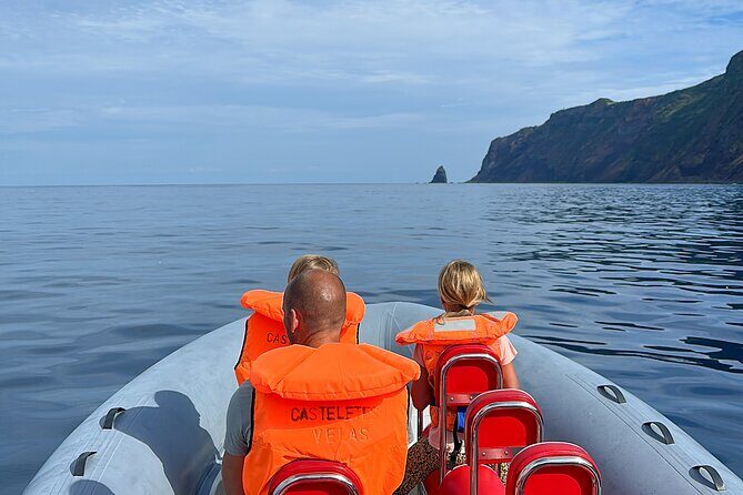 Guided activity in the Heart of Azores with whales and dolphins - Is This Tour for You?