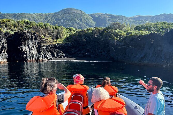 Guided activity in the Heart of Azores with whales and dolphins - FAQ