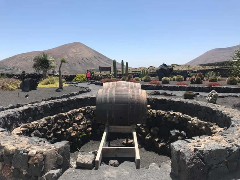Guided and private excursion of the island of Lanzarote - The Sum Up
