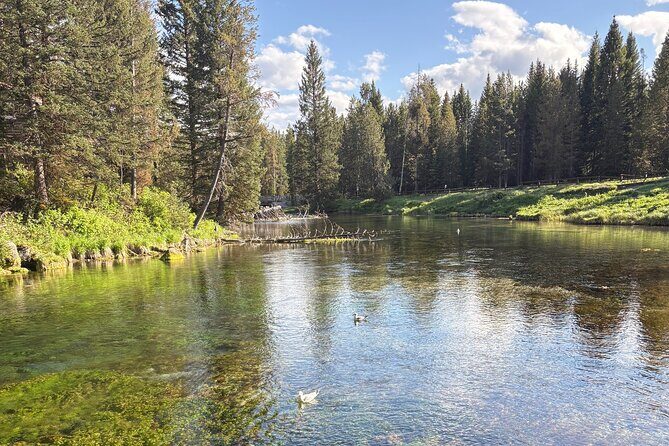 Guided ATV Tours and Explore Hidden Gems in the Yellowstone area - Exploring Off-Road in the Yellowstone Area