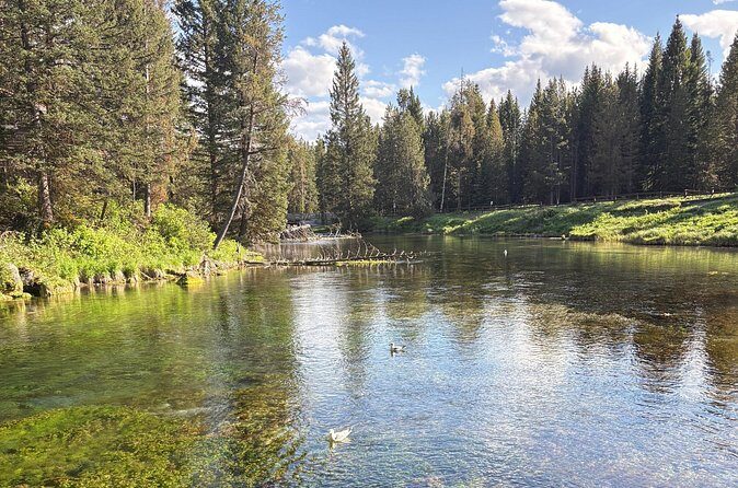 Guided ATV Tours and Explore Hidden Gems in the Yellowstone area - The Sum Up