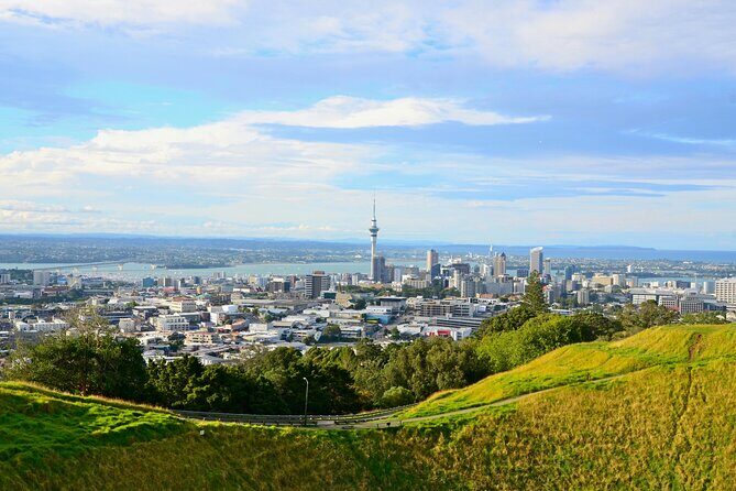 Guided Auckland Highlights Half Day City Tour - What Travelers Say