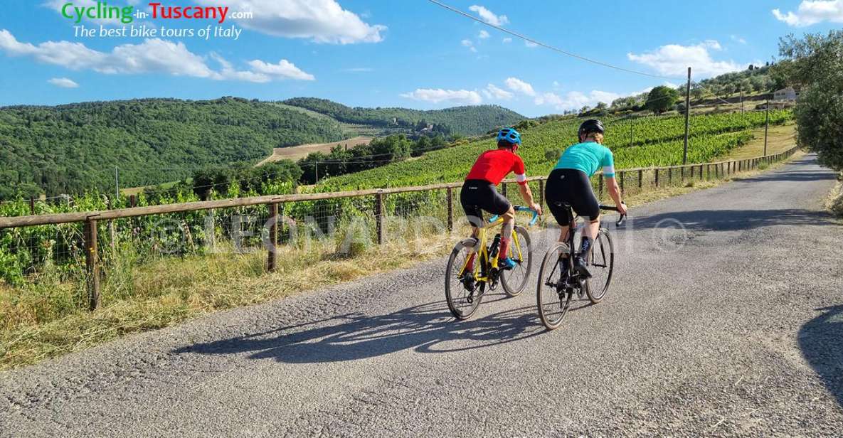 Guided Bike Tour in Chianti, Tuscany, Italy. - Key Points