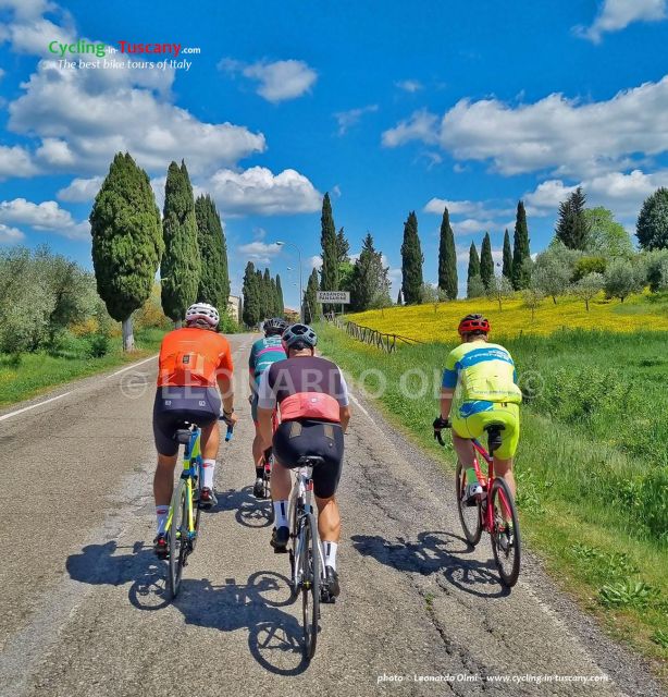 Guided Bike Tour in Chianti, Tuscany, Italy. - Tour Options