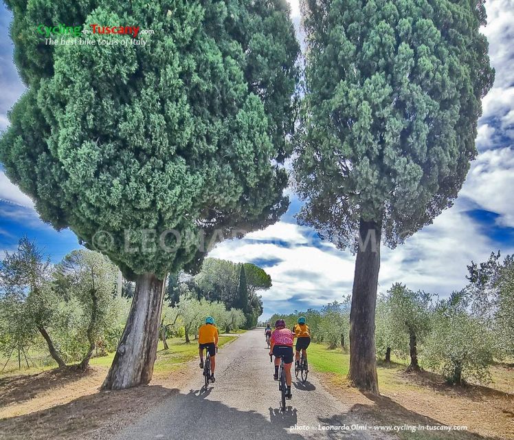 Guided Bike Tour in Chianti, Tuscany, Italy. - Bike Rental Inclusions