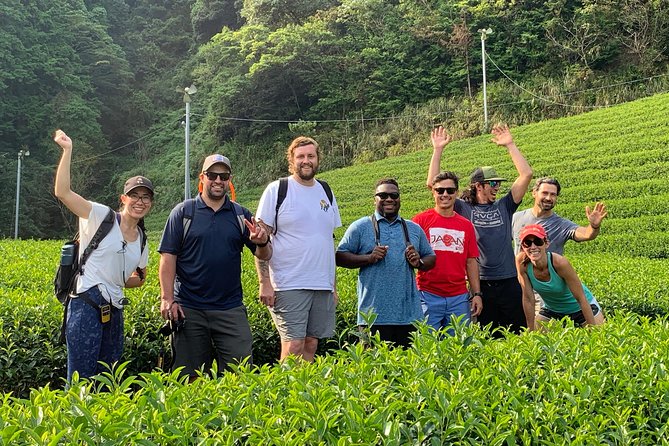 Guided Bike Tour to a Green Tea Farm in Shizuoka (Not E-Bikes) - Booking and Cancellation Policy