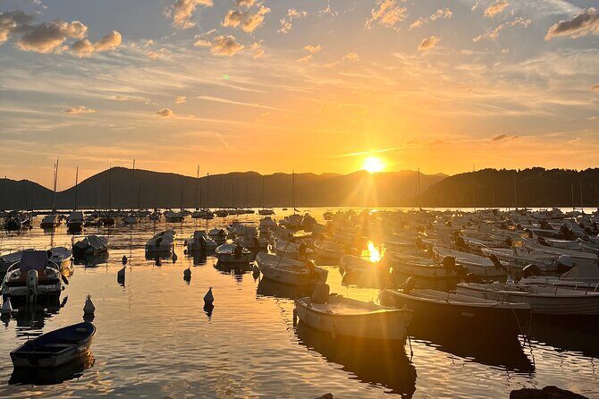 Guided Boat Tour of the Gulf of Poets - Key Points