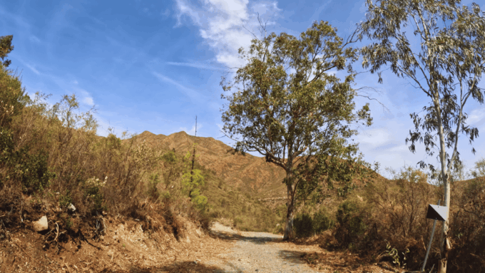 Guided Buggy Tour Mijas - Age and Eligibility Requirements
