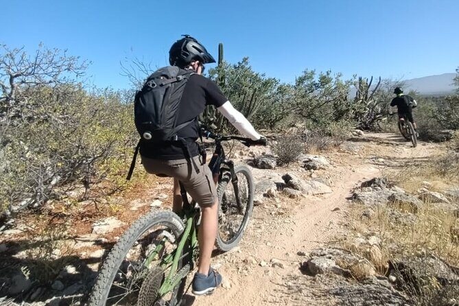 Guided Cactus Forest Mountain Bike Experience in La Ventana - FAQs